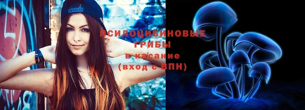 ГАЛЛЮЦИНОГЕННЫЕ ГРИБЫ Алексеевка
