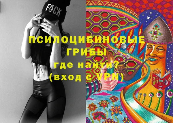 ГАЛЛЮЦИНОГЕННЫЕ ГРИБЫ Алексеевка